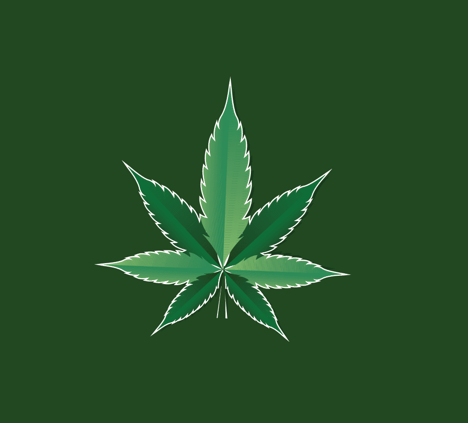 Canna Connect logo